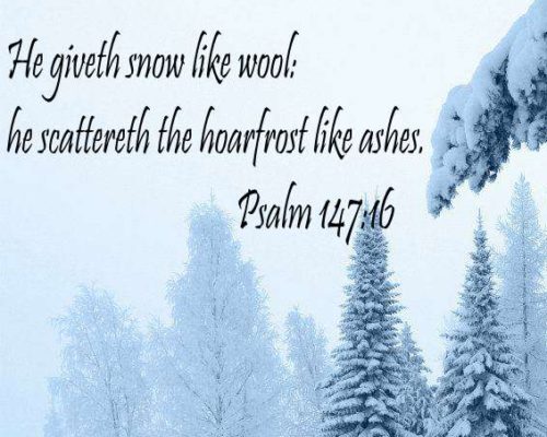 Sabbath Snow Day Message!