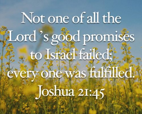 Yehoshua (Joshua) 12-21 - "Not A Word Failed!"