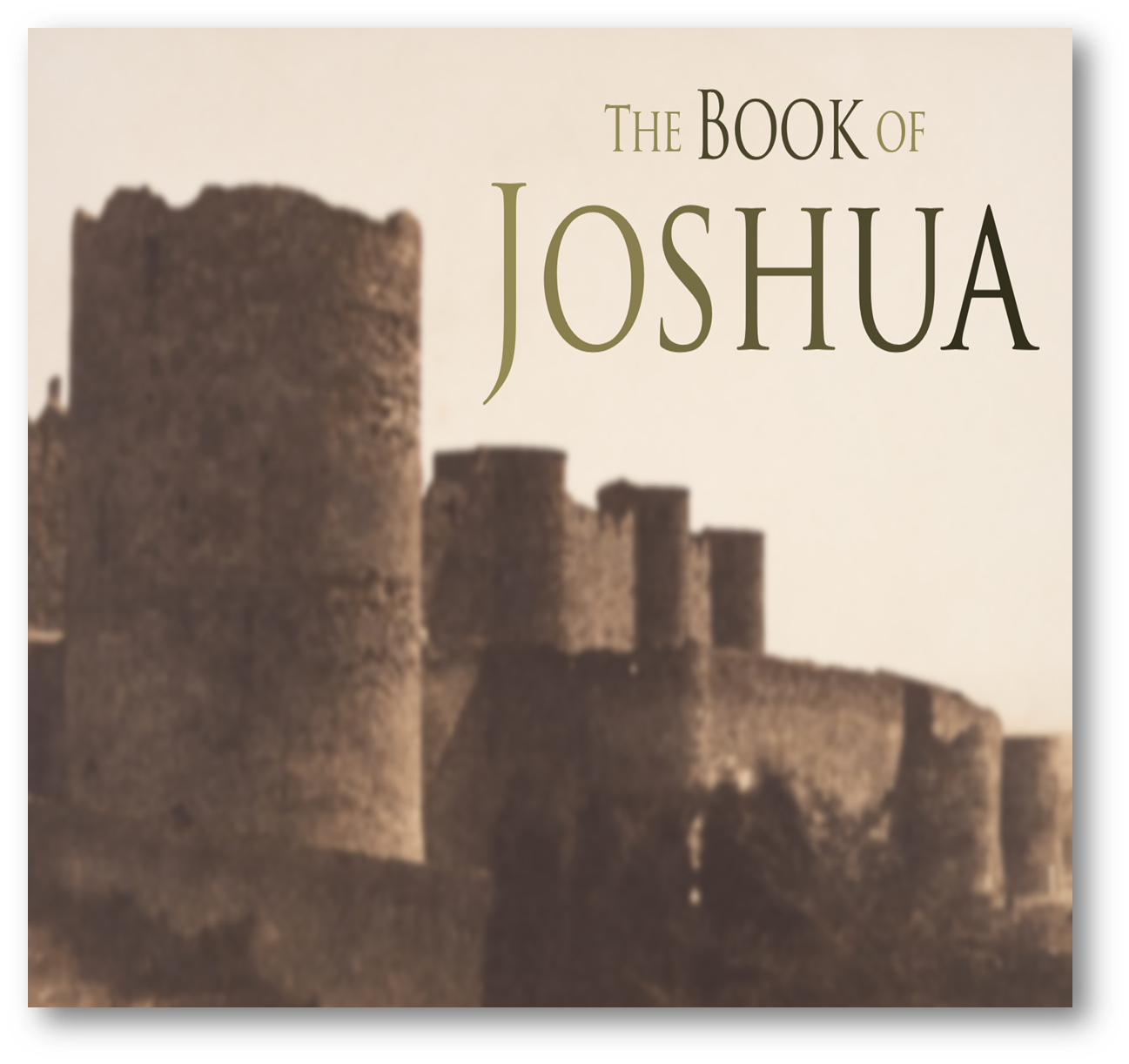 Yehoshua (Joshua)
