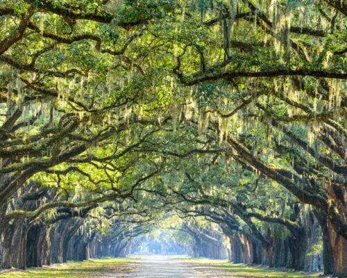 Yeshayah (Isaiah) 61 - "If We Won't, Who Will?"