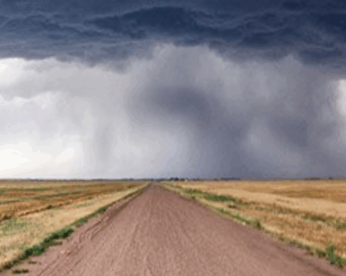 Tehillim (Psalms) 10 & 11 - “Human Understanding” & “Received, or Rejected?”